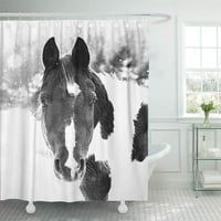 Zidni konji Zima B W Farma fotografija Prekrasna kupatilo Zavjesa za tuširanje kupatila