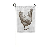 Crtanje pileći kokoš peradarsko broiler Farm Vintage skice Farmer Garden Zastava za zastavu Dekorativna
