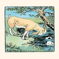 Dva forija plivaju u jezeru, jer izgleda Billy Goat. Ilustracija iz niza dječjih knjiga koja se oslobodila