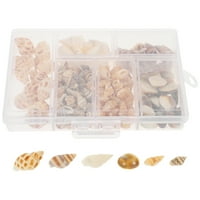 Bo od malih školjki Conch prirodne malene seashells za DIY minijaturne plaže Conch Decor