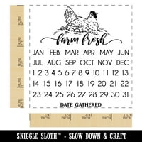 Farma svježa pileća jaje carton vječni kalendar Datum okupio kvadratni gumeni pečat žigosanje Scrapbooking