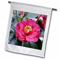 3drose Camellia Japonica cvijet - vrtna zastava, prema