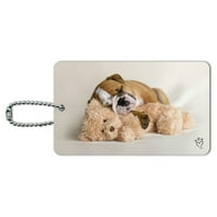 British Bulldog štene pas spavao sa teddy medvjed prtljažnim karticama za kofer za nošenje