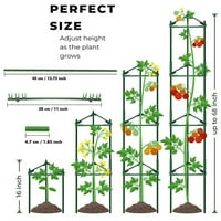 3 * ulog za vrta Parato Cage Pogon za rast biljne biljne stabljike