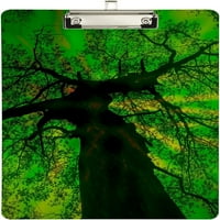 Green Šumski međuspremnik Tvrdoća zagrevanje drveta i povlačenje za standardno pismo