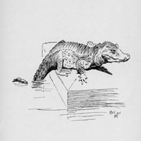 Ilustracija Cecil Aldin, aligatorskog plakata Print Mary Evans Library Slika