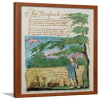 Pastir, iz pjesama nevinosti, 1789., životinje uramljena umjetnost tiskana zidna umjetnost William Blake