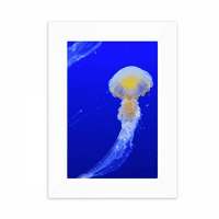 Ocean Jellyfish Science Slika prirode Desktop Foto okvir Slika Prikaz Dekoracija umjetnička slika
