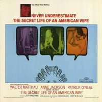 Tajni život američke supruge - filmski poster