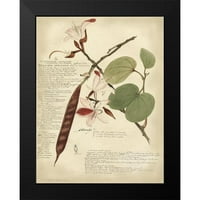 Descubes, A. Crni moderni uokvireni muzej umjetnički print pod nazivom - Descube Botanical III