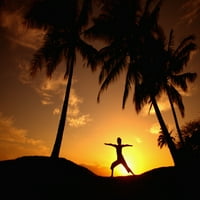 Havaji, Maui, Olowalu, žena radi jogu na zalasku sunca pod palmi. Print plakata