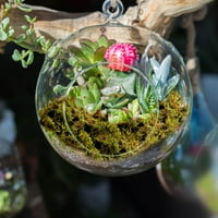 Dyfzdhu Moss Artificial Moss za silerijski mahovina mahovine mahovine docre Decor Fairy Garden Crafts