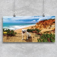 Sretan chihuahua na plaštu na plaži -Image by shutterstock