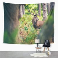 Šarena divlja crvena jelena između paprati u jeseni šumskom maglu Zidna umjetnost Viseća tapiserija