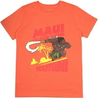 Disney Boys majice: Široka sorta uključuje kralj lava, automobila, mickey miša