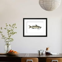 Kanal somfish ictalurus puncturatus, ribe, životinje uramljene umjetnosti Print Wall Art art by Encyclopaedia