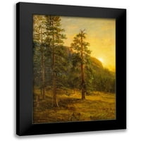 Bierstadt, Albert Black Moderni uokvireni muzej Art Print pod nazivom - Kalifornija Redwoods