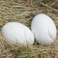 Sdjma drvena lažna jaja različita boja nedovršena drvena uskršnja jaja neobojena drvna jaja za zanat