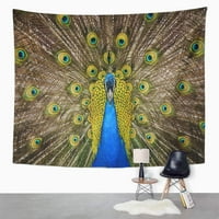 Paun prekrasan bok mužjak prikazuje divljinu zidna umjetnost Viseća tapiserija Kućni dekor za dnevni