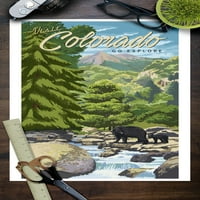 Kolorado, crne medvjede i potok