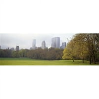 Drveće u parku, Central Park, Manhattan, New York City, New York, Sjedinjene Američke Države Poster