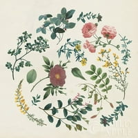 Victorian Garden II Poster Print by Wild Apple Portfolio