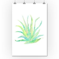 Obalna agava, sukulenti akvarela