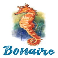 Bonaire, holandski karipski, morski konj, akvarel