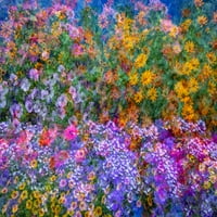 -Washington State-Pacific Northwest-Sammamish Closedni cvijeće i plavi ogradni ograda Print Print -