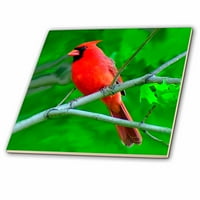 3drose crveno kardinal - keramička pločica