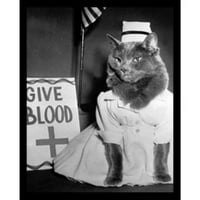 Medicinska sestra Kitty Četiri šape Art Print Poster Mačja medicinska sestra Dječja umjetnost Životinjska