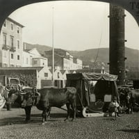 Madeira, C1920. N'O tim i sanke, jedina vrsta kočija koja se koristi u Funchalu, madeira ostrvima. '