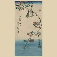 Mala ptica na grani Kaidozakure. Uradio Ando Hiroshige između i 1848. Poster Print od Ando Hiroshige