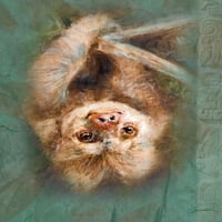 Dvoetalni Sloth by Robert Campbell