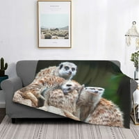 Meerkat porodice bacaje boksko ugodno bacanje pokrivač Slatki meerkats Fuzzy Warm COuch Beze pokrivač
