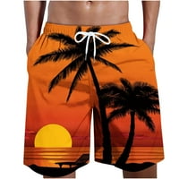 Plažni kratke hlače za muškarce Trendy, muške kuglice za plivanje Vodene sportove Tropska havajska ploča