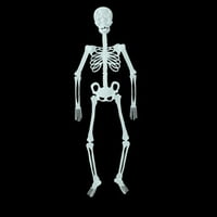 Gustave 5FT poziljivi ljudski kostur Halloween ukras za cijelu tjelesnu životnu veličinu svjetlosni
