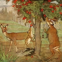 Navike i karakteri raznih divljih životinja jeleni za jeleni otisak od strane Warwick Reynoldsa