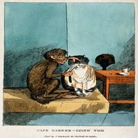 Monkey brijanje mačjim šampionima Print Print Science izvora