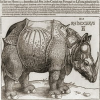 Istorija nosoroga