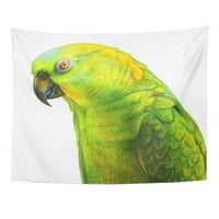 Žuti zeleni papagaj portret crtež Realistic Wall Art Viseći tapiserija Početna Dekor za dnevnu sobu
