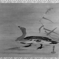 Poster divljih guska i trske otisak Kano Yasunobu