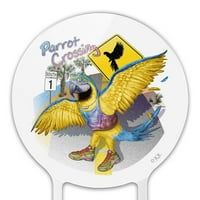 Akrilni parrot prelazeći sunčane naočale Tropsko odmori za odmor Tort Topper Party Dekoracija za rođendan