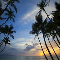 Palma na suncu, plaži Keawekapu; Maui, Havaji, Sjedinjene Američke Države Poster Print