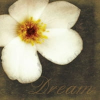 Bijeli plakat cvijeća iz snova Ispis Lauren Gibbons