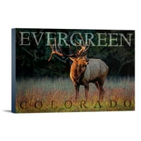 Evergreen, Colorado, Elk poziva