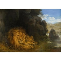 Wilhelm Kuhnert Crna modernog uokvirenog muzeja Art Print pod nazivom - dva lava u pećini
