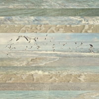 Meneely, dan crni modernog uokvirenog muzeja Art Print pod nazivom - Flying Beach ptice I