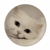 Mačka Bijela Kitty kućna ljubimca Rela ploča Dekorativni porculanski jelo za večeru