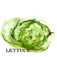 Veggie skica IX-salata od Marcy Chapman